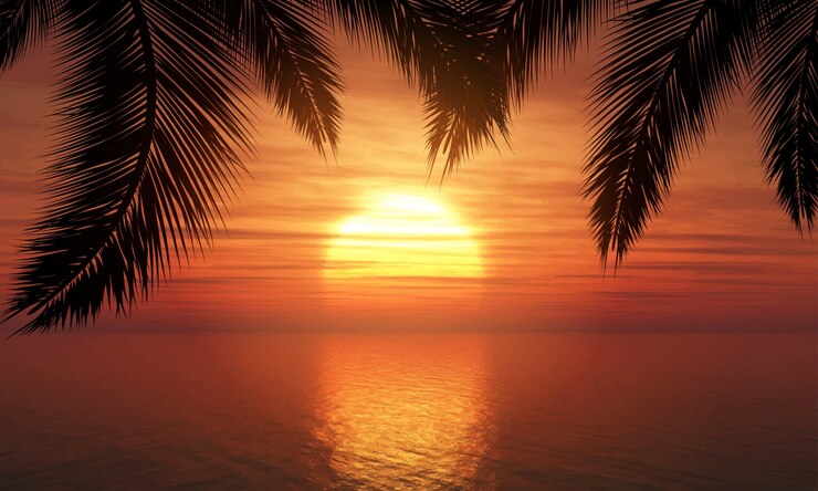 Vettore gratuito palme contro il cielo al tramonto