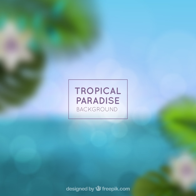 Paradiso tropicale sfocato
