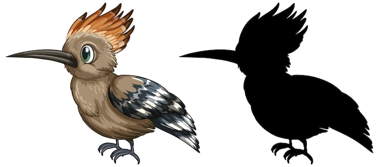 Vettore gratuito personaggi di roadrunner e la sua silhouette su sfondo bianco