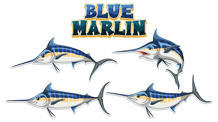 Vettore gratuito personaggio dei cartoni animati di pesce marlin blu in diverse pose