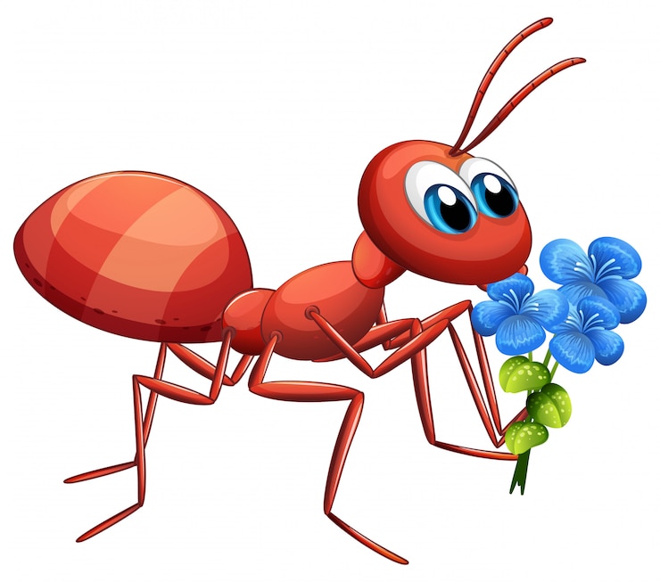 Vettore gratuito personaggio dei cartoni animati sveglio della formica che tiene fiore blu su fondo bianco