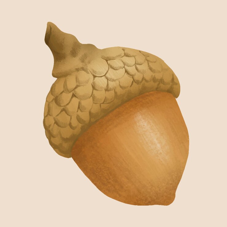 Vettore gratuito pianta di autunno di vettore dell'elemento della ghianda disegnata a mano