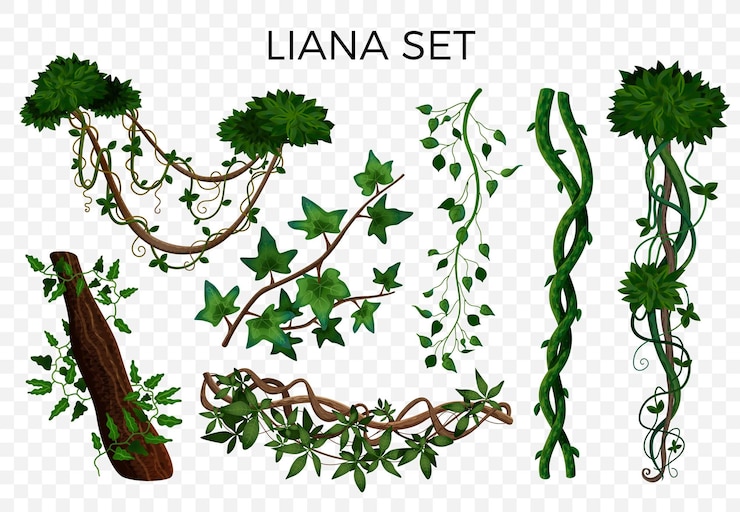 Vettore gratuito piante rampicanti della giungla della foresta pluviale tropicale che intrecciano gli elementi realistici della vite dell'edera dell'edera delle liane impostano l'illustrazione trasparente di vettore del fondo