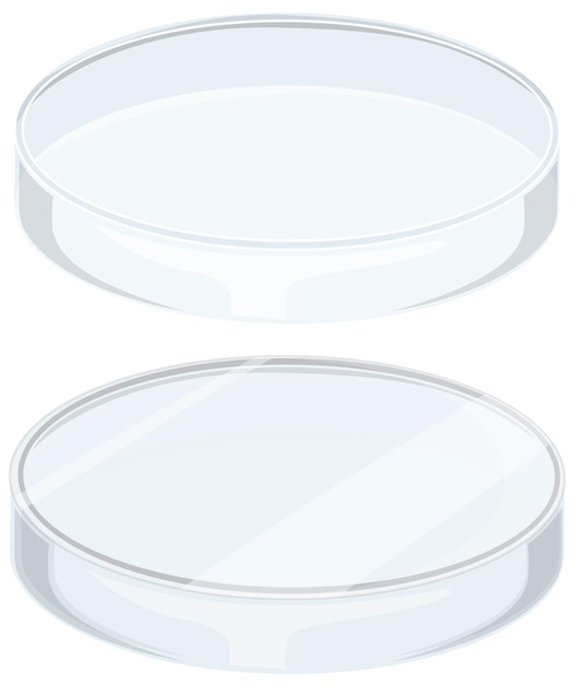 Piatto di Petri di vetro su fondo bianco