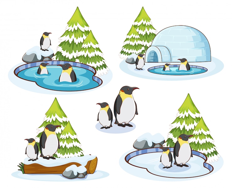 Vettore gratuito pinguini in inverno neve