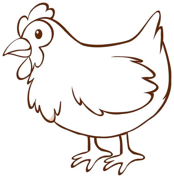 Vettore gratuito pollo in stile semplice su sfondo bianco