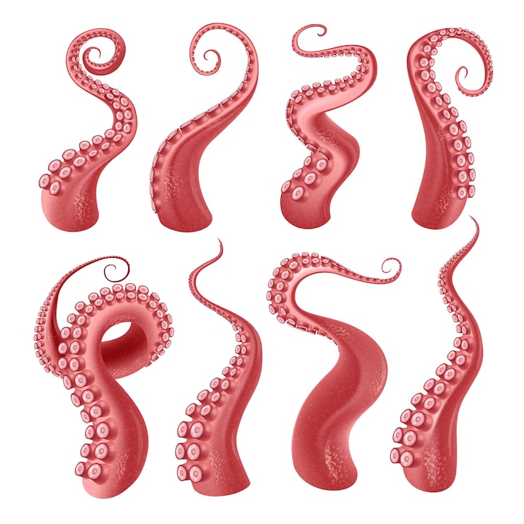Vettore gratuito polpo rosso o tentacoli di kraken con set realistico di ventose isolato su sfondo bianco illustrazione vettoriale