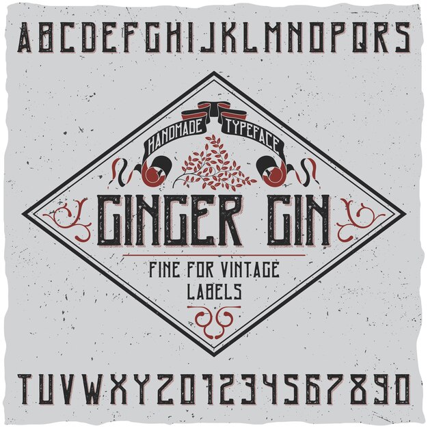 Poster di carattere tipografico di gin allo zenzero con decorazione su illustrazione di design semplice etichetta