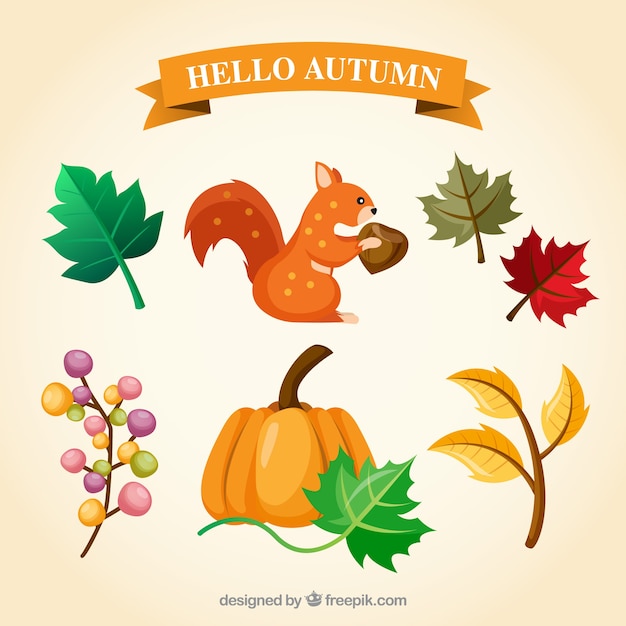 Primo scoiattolo e altri elementi naturali di autunno