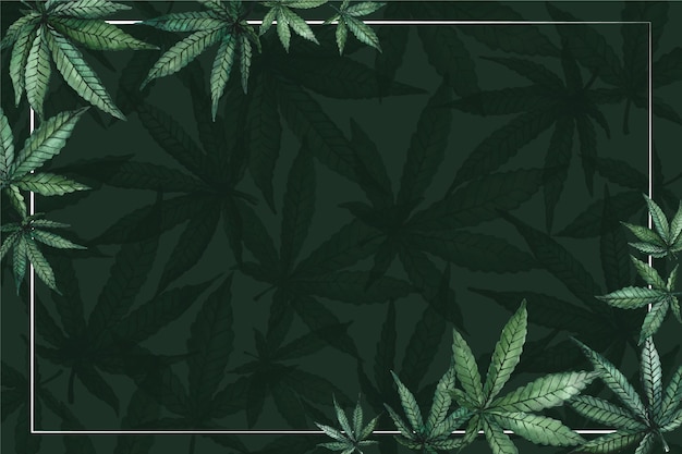 Priorità bassa della foglia di cannabis dell'acquerello con spazio vuoto