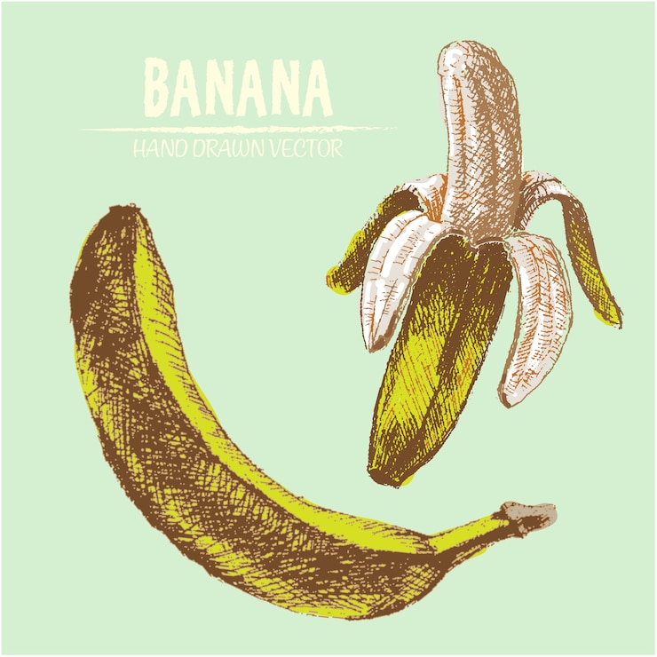 Vettore gratuito priorità bassa di banana disegnata a mano