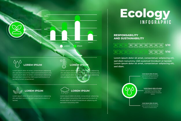 Processo di ecologia infografica con foto