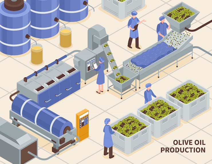 Vettore gratuito produzione di olio d'oliva isometrica