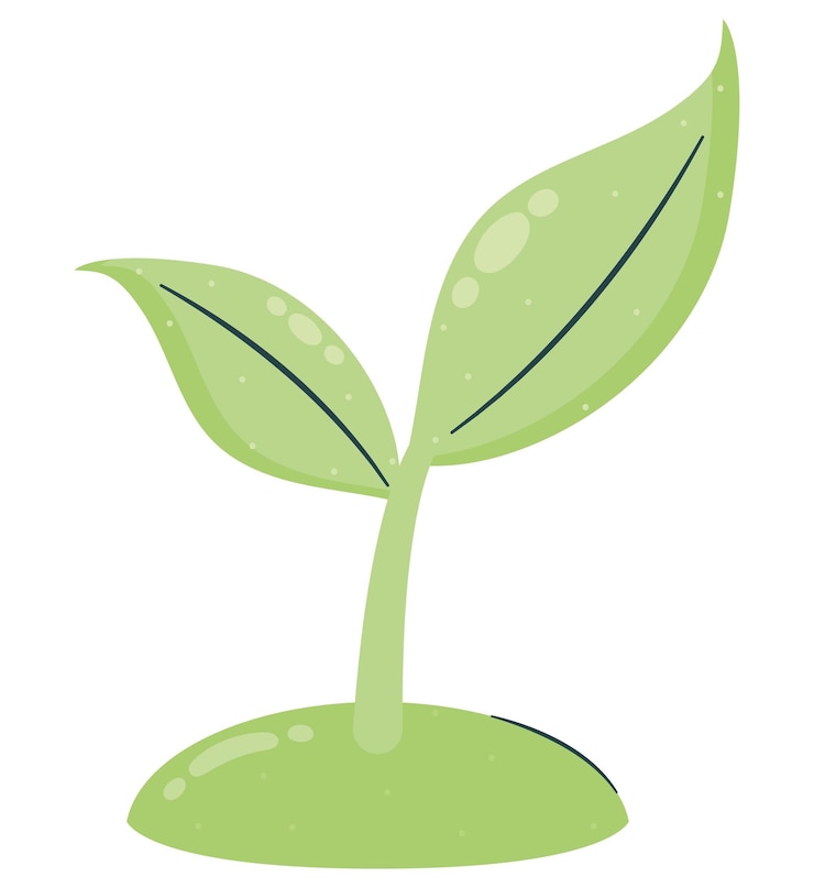 Vettore gratuito progettazione dell'impianto verde