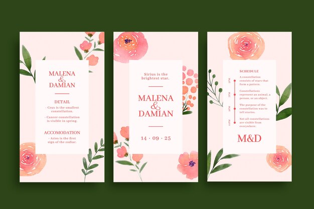 Progettazione di modelli di Instagram per matrimoni