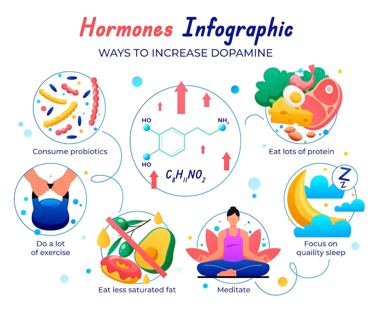 Vettore gratuito progettazione infografica degli ormoni gradienti