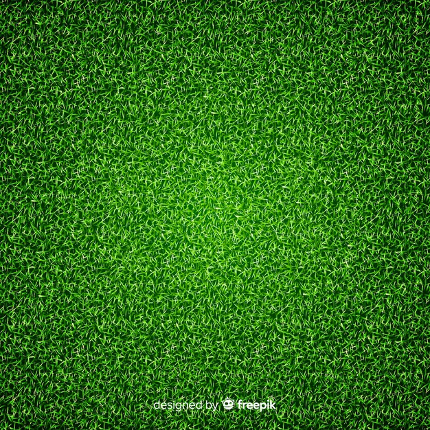 Progettazione realisitica del fondo dell&#39;erba verde