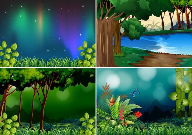 Quattro scene di foresta durante la notte