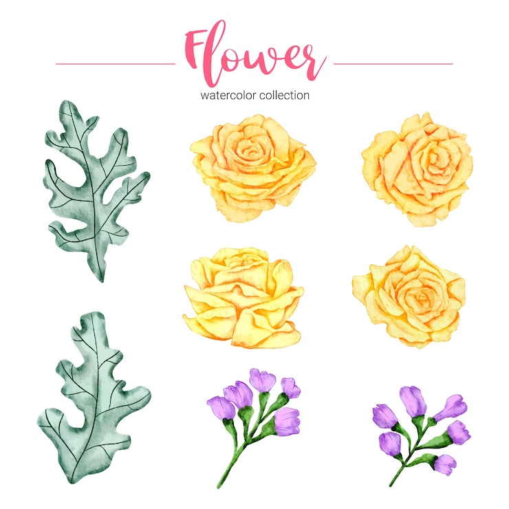 Vettore gratuito raccolta di acquerello illustrazione bellissimo fiore