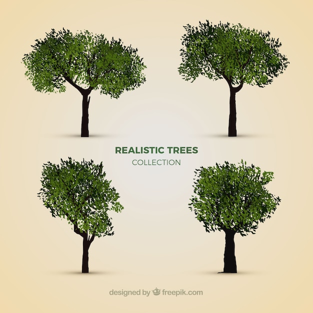 Raccolta di alberi realistici