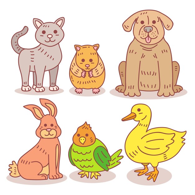 Raccolta di diversi animali domestici
