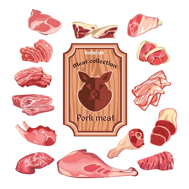Raccolta di elementi colorati di carne di schizzo