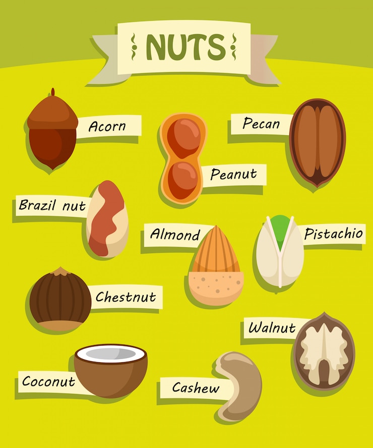 Vettore gratuito raccolta di elementi di noci naturali piatte