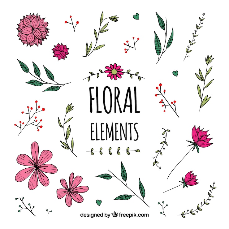 Vettore gratuito raccolta di elementi floreali con diverse specie