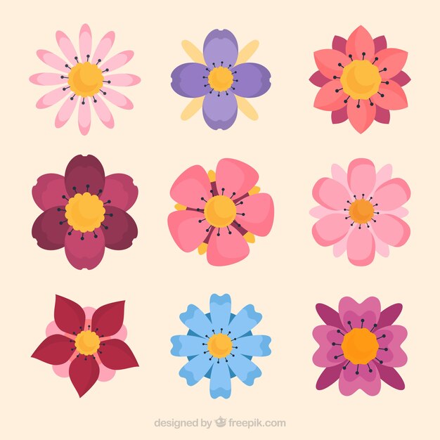 Raccolta di fiori colorati in stile piano
