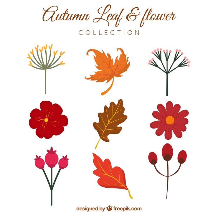 Vettore gratuito raccolta di fiori disegnati a mano e foglie