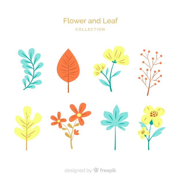 Raccolta di fiori e foglie piatte