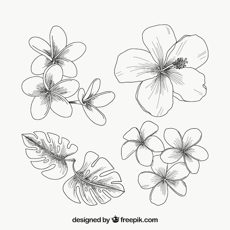 Vettore gratuito raccolta di fiori tropicali in stile vintage