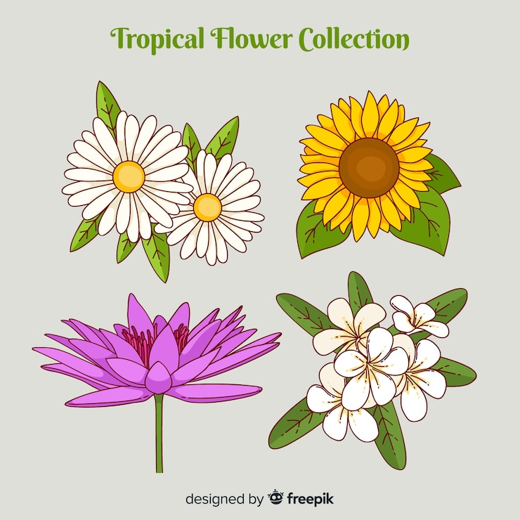 Vettore gratuito raccolta di fiori tropicali