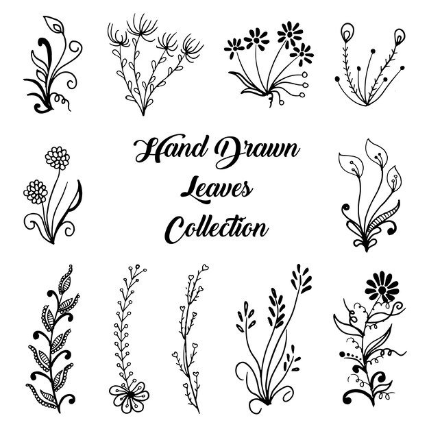 Raccolta di foglie disegnate a mano