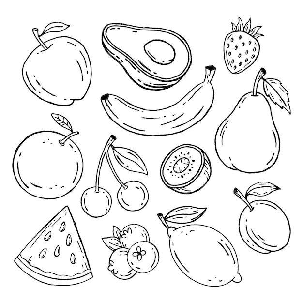 Raccolta di frutta disegnata a mano di incisione