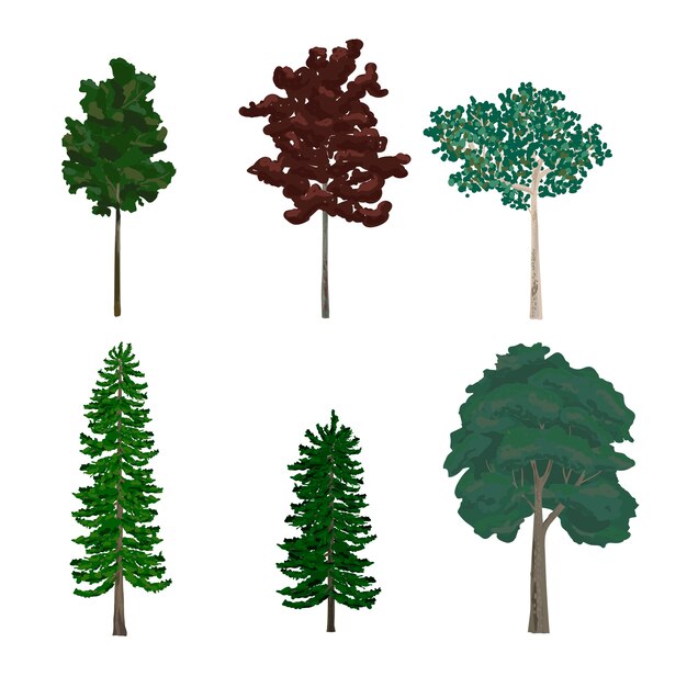 Raccolta di illustrazioni di alberi di pino e foglia