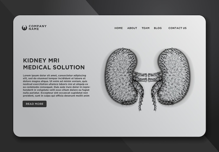 Vettore gratuito raccolta di modelli di progettazione di pagine web di reni umani realistici wireframe astratto da punti e linee di progettazione illustrazione vettoriale