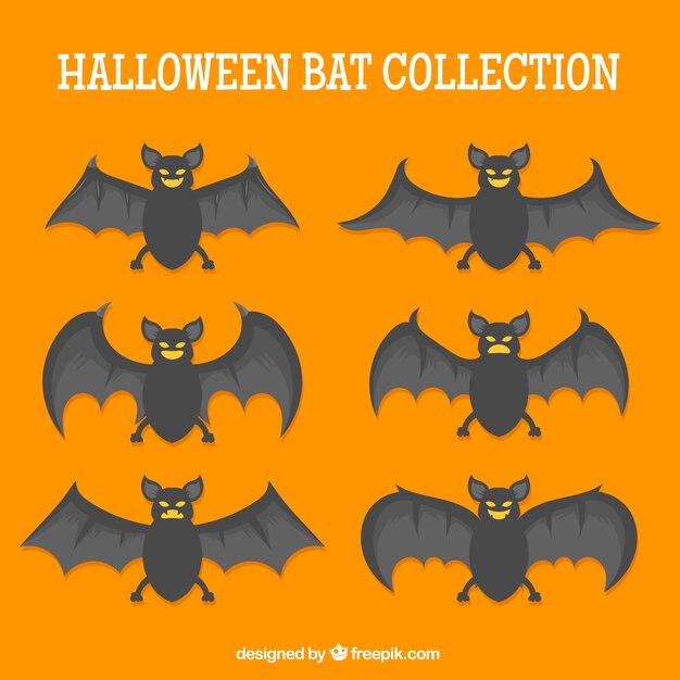 Raccolta di pipistrelli Halloween