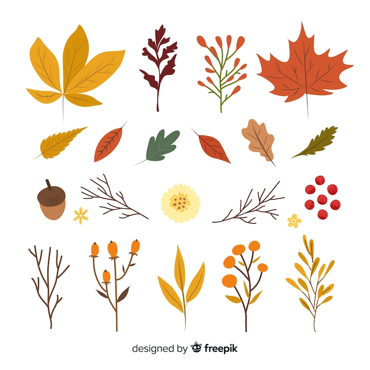 Vettore gratuito raccolta di stile disegnato a mano delle foglie di autunno