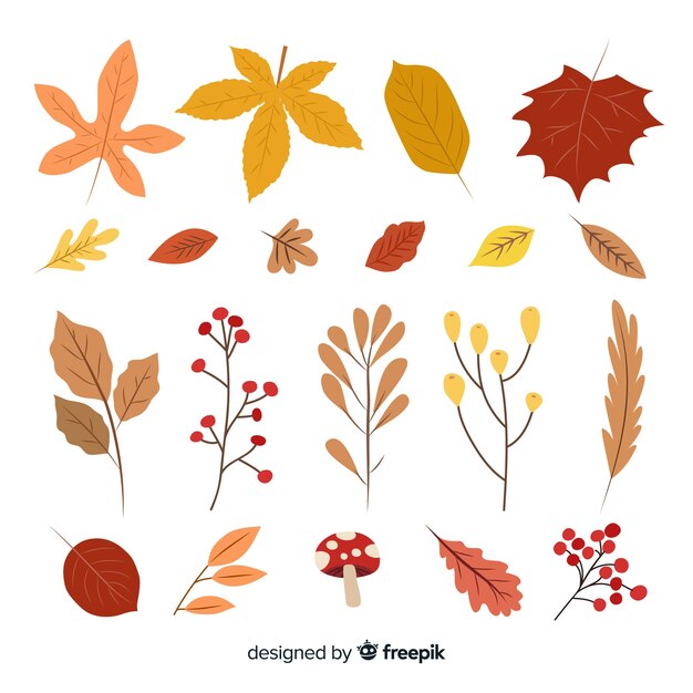 Raccolta di stile disegnato a mano delle foglie di autunno