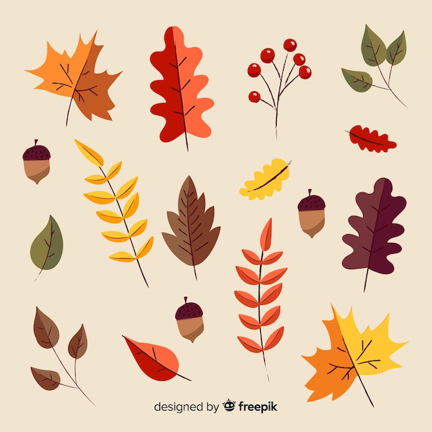 Raccolta di stile disegnato a mano delle foglie di autunno