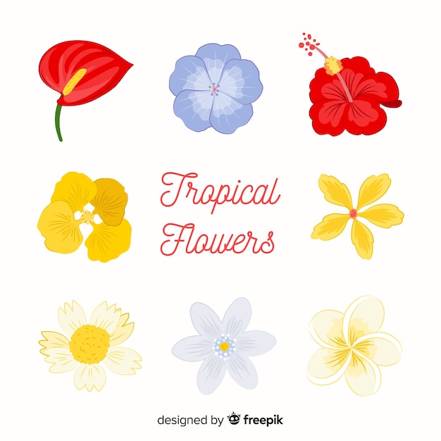 Raccolta di vari fiori tropicali
