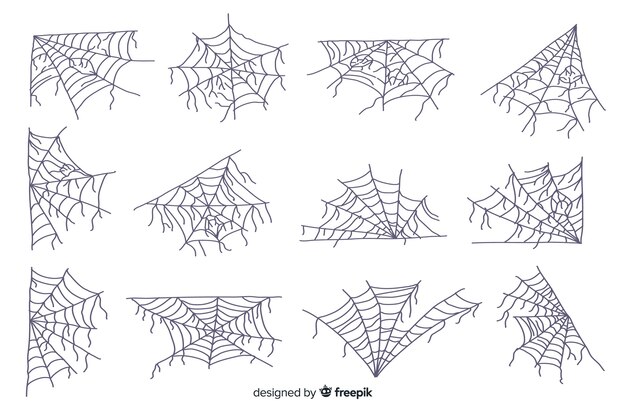 Raccolta disegnata a mano della ragnatela su fondo bianco