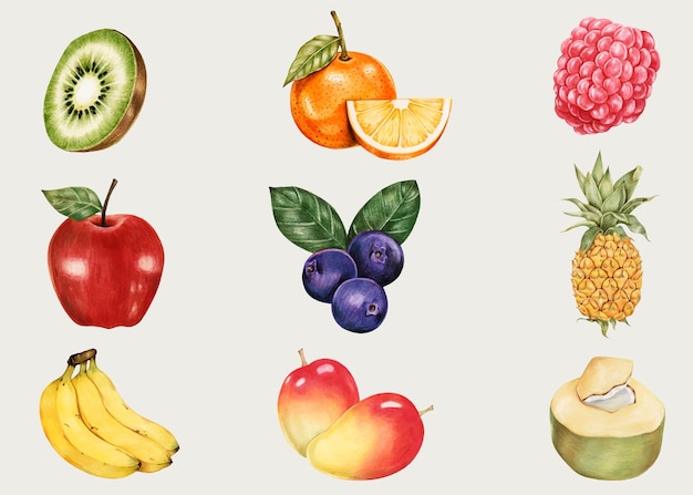 Raccolta disegnata a mano di vettore dell'annata di frutta estiva