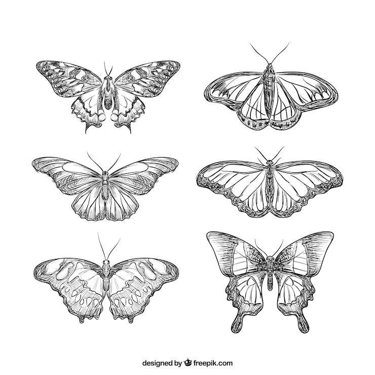 Vettore gratuito raccolta realistica di farfalle disegnati a mano