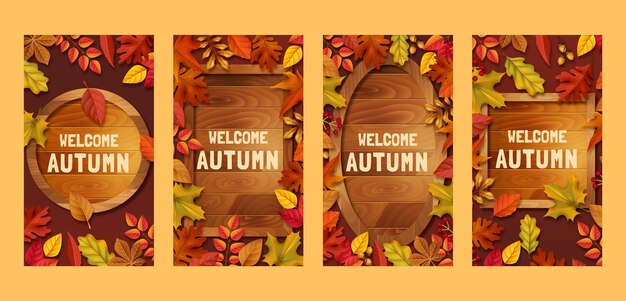 Raccolta realistica di storie di instagram per la celebrazione della stagione autunnale