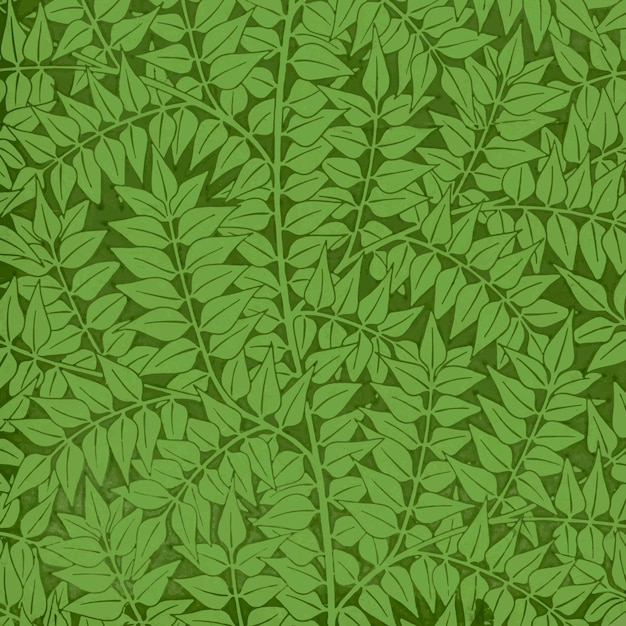 Rami di alloro verde vintage pattern vector