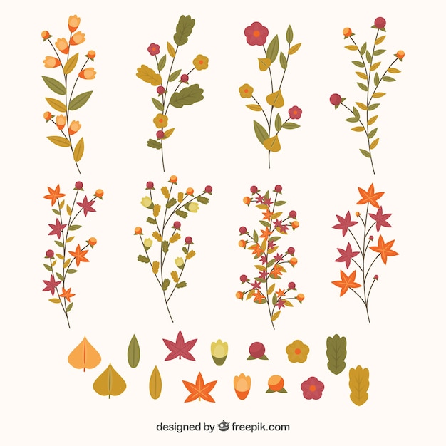Ramoscelli carini, fiori e foglie in colori caldi