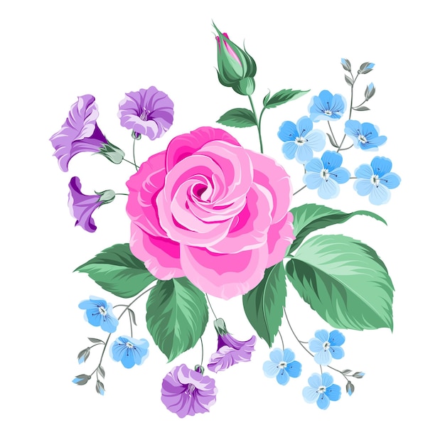 Rosa disegnata a mano isolata sopra priorità bassa bianca. Illustrazione vettoriale.