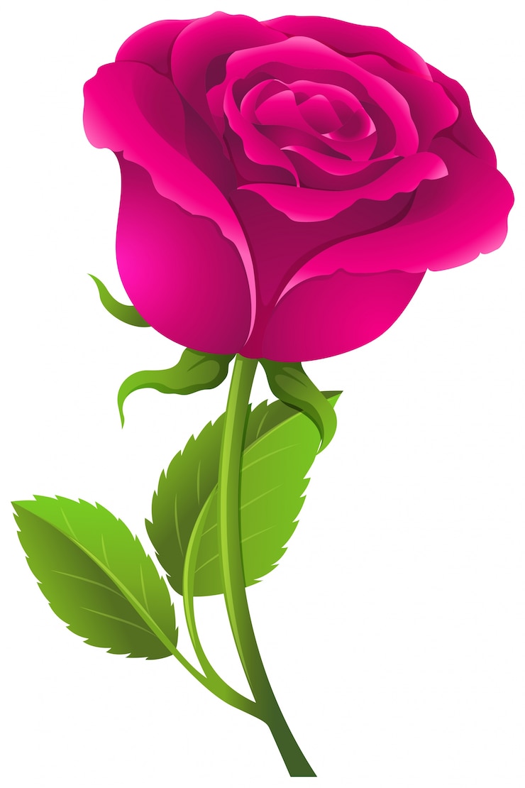 Vettore gratuito rosa rosa con foglie verdi
